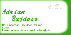 adrian bujdoso business card
