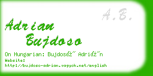 adrian bujdoso business card
